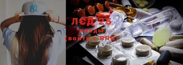 Альфа ПВП Каменка