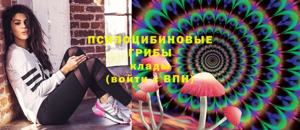 Альфа ПВП Каменка