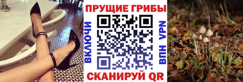 Купить где  Ялуторовск  Псилоцибиновые грибы GOLDEN TEACHER 